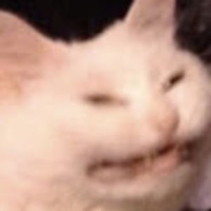 Meet your Posher, Faerie